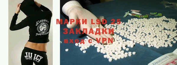 индика Надым