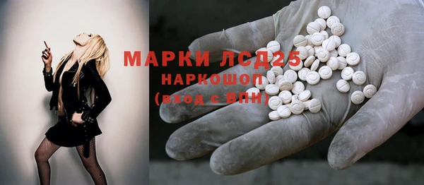 индика Надым