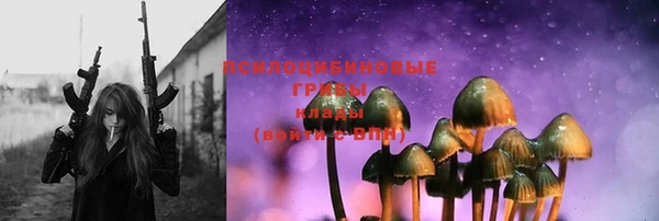 индика Надым