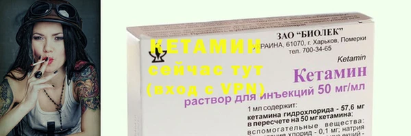 индика Надым