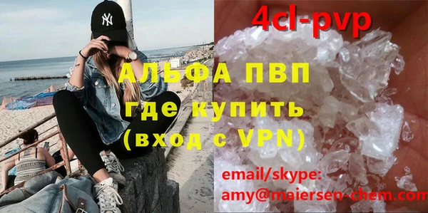 индика Надым