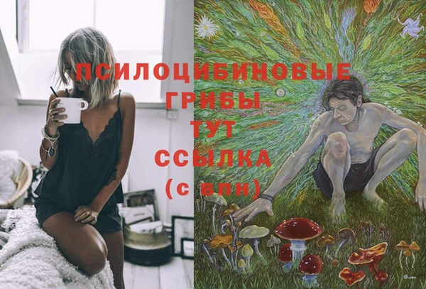 стафф Навашино