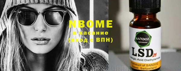 индика Надым