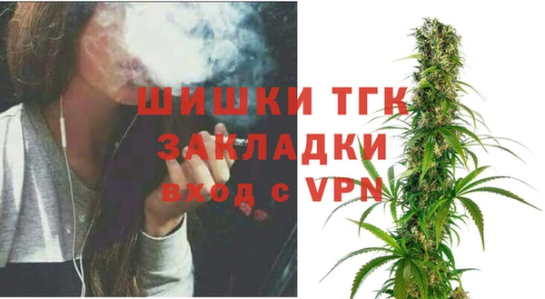 индика Надым