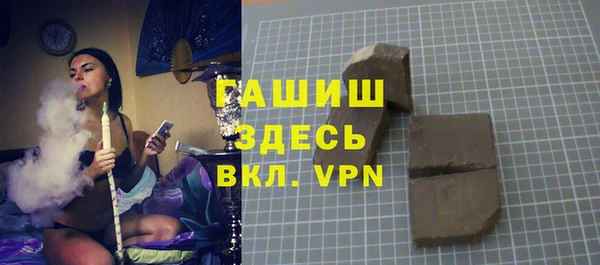 индика Надым