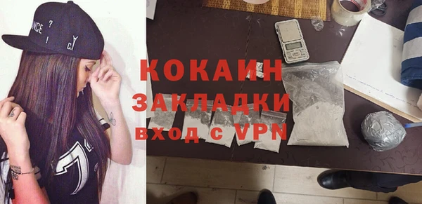 индика Надым