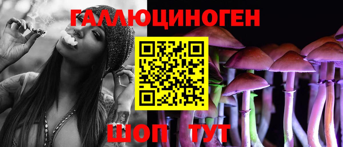 Галлюциногенные грибы Cubensis  Галлюциногенные грибы прущие грибы  Кинель 